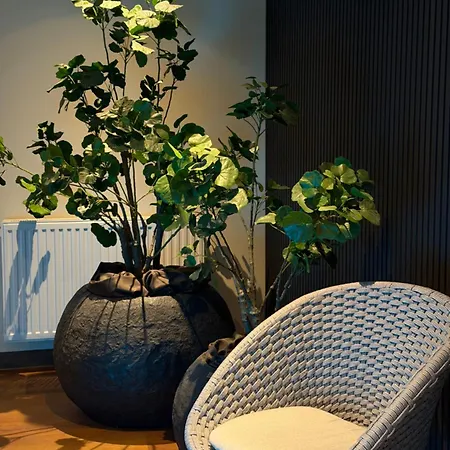 Morada Arendsee Hotel Ostseebad Kühlungsborn